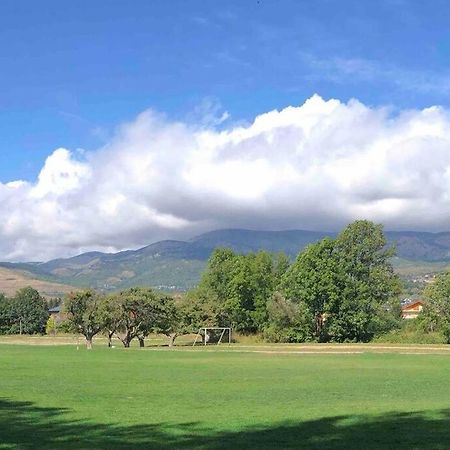 La Cabanita De Llivia, Cerdanya, Puigcerda Lejlighed Eksteriør billede
